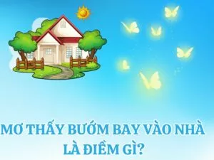 giai ma giac mo thay buom bay vao nha