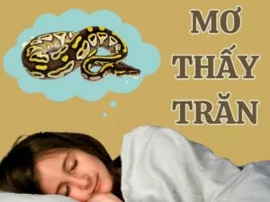 giai ma giac mo thay tran