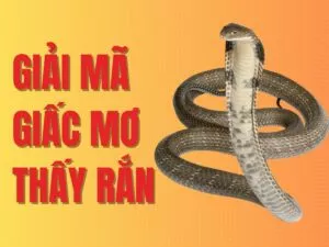 giải mã về giấc mơ thấy rắn